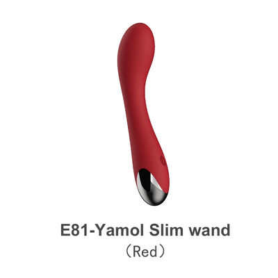10 Speed Silent Rechargeable Silicone Sex Toy , Vagina G Spot Stimulation Vibrator